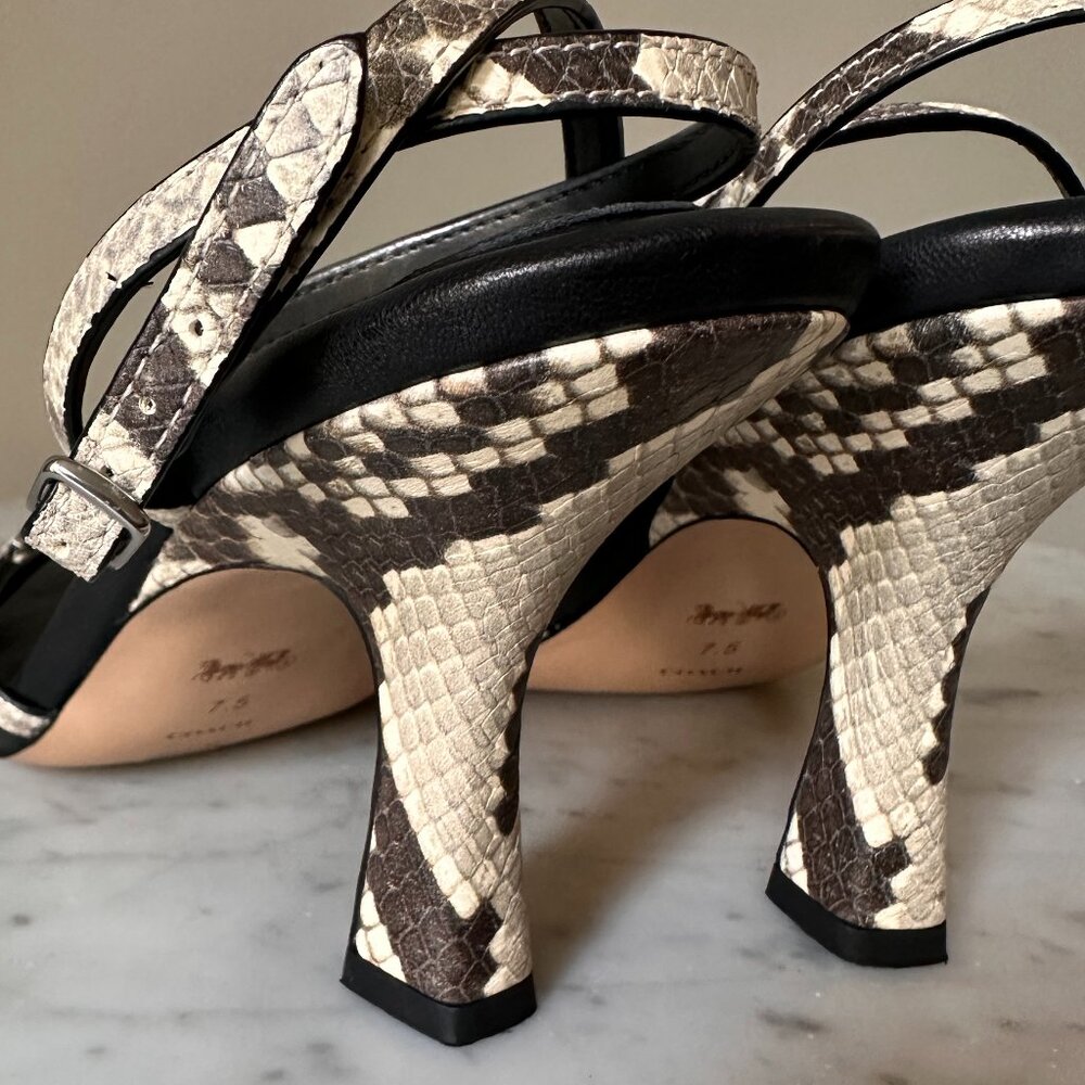 COACH | Grey Snakeskin Sculpted C Kitten Heels  with Square Toe  7.5- Elegant - Picture 11 of 13
